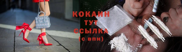 винт Мегион