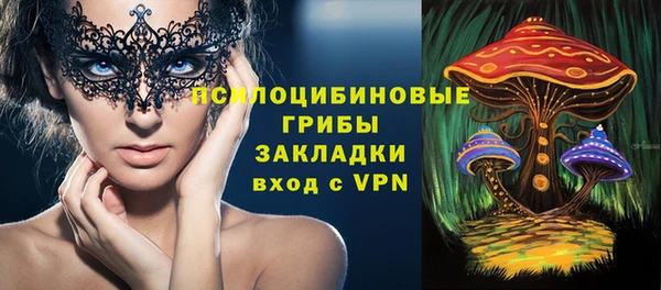 винт Мегион